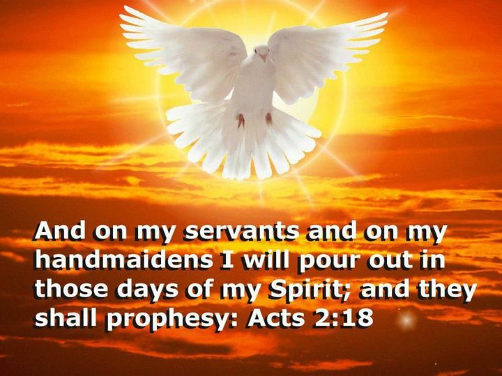 Prophetic Words – Dreams – Visions