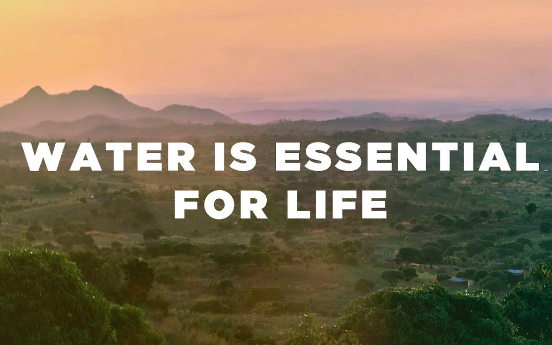 Without Water There Is No Life – Creation Lesson 5