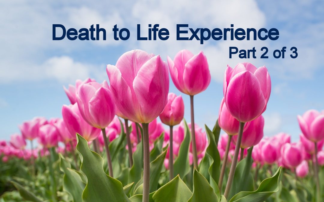 My Death to Life Experience – Part 2