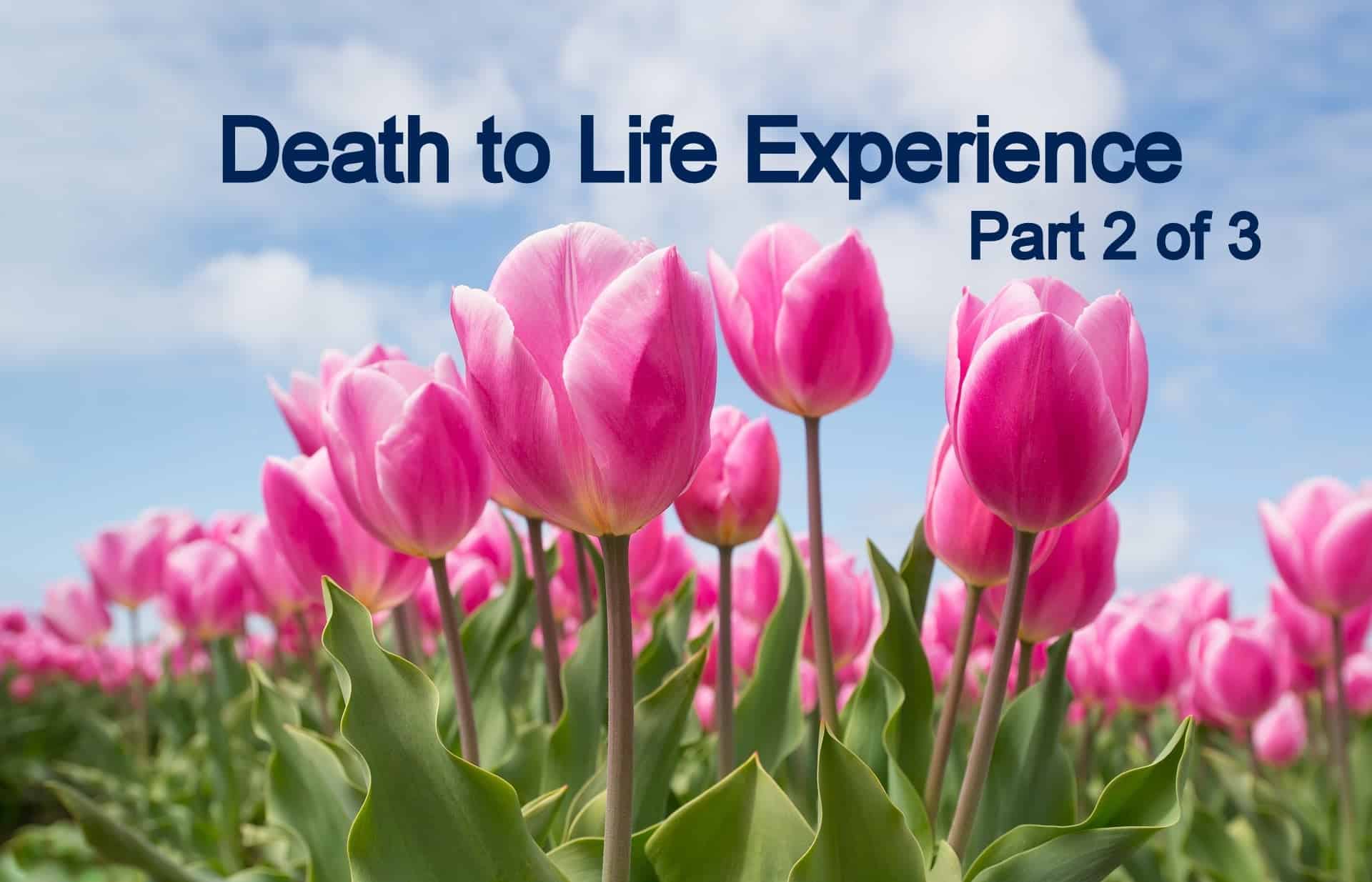My Death to Life Experience Part 2