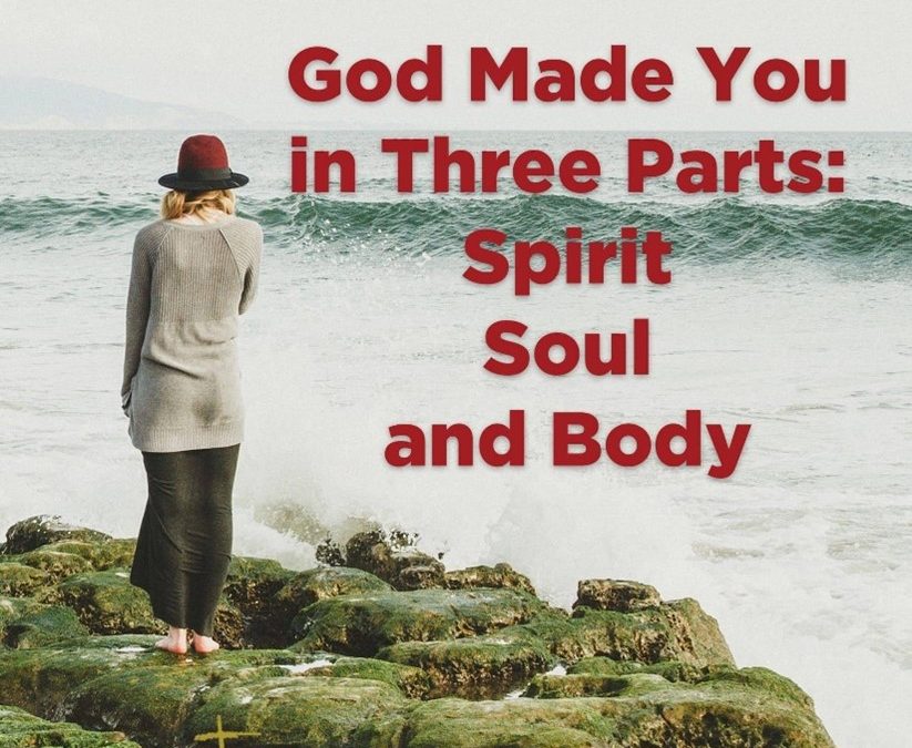 Spirit, Soul and Body – 2024