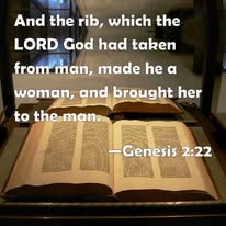 God Formed Woman from Adam’s Rib – Eve Lesson 20