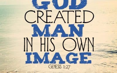 Made in the Image of God – Lesson 19 2024