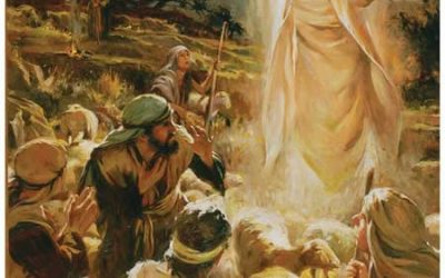In The Manger Scenes You Buy?