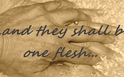 God’s Design for Marriage-They Shall Become One Flesh – Lesson 22 2025