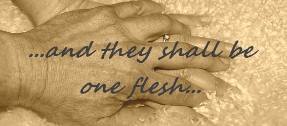 God’s Design for Marriage-They Shall Become One Flesh – Lesson 22 2025