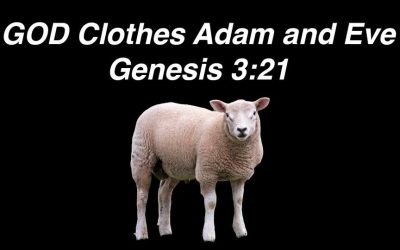 God Shed First Blood Ever Shed to Cover Adam’s and Eve’s Sin – Lesson 25