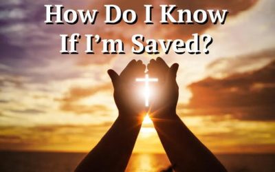 Moving Souls Out of Living in Limbo – 2025