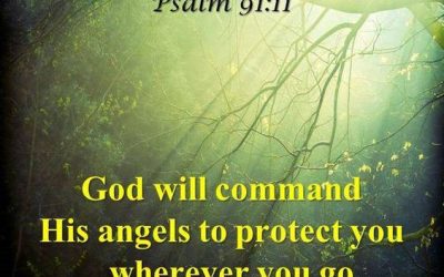 Dreams-Protected by Angels – Part 2 – 2025