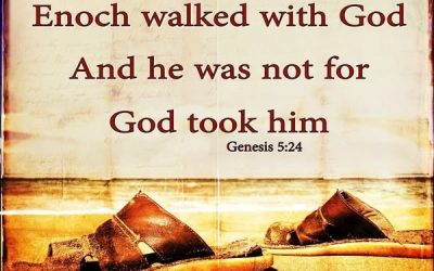 The Generations of “Adam” to Noah – Genesis Chapter 5 part 2 – Lesson 36 2025