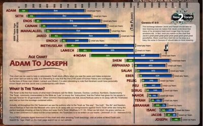 The Generations of “Adam” to Noah – Genesis Chapter 5 part 1 – Lesson 35 2025
