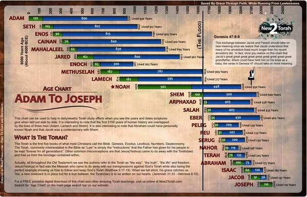 The Generations of “Adam” to Noah – Genesis Chapter 5 part 1 – Lesson 35 2025