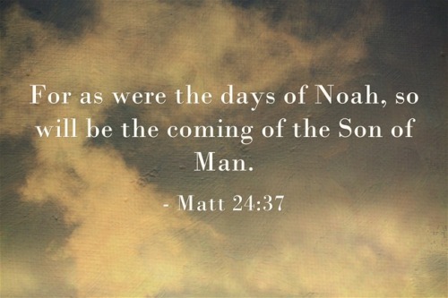 In the Days of Noah – God Grieved in His Heart – Lesson 38