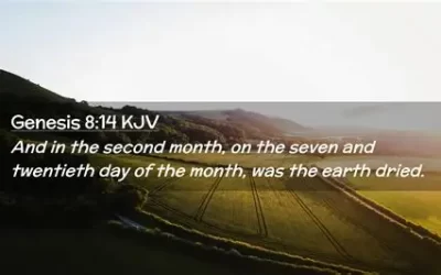 Worldwide Flood: Noah Spends One Year+ in the Ark